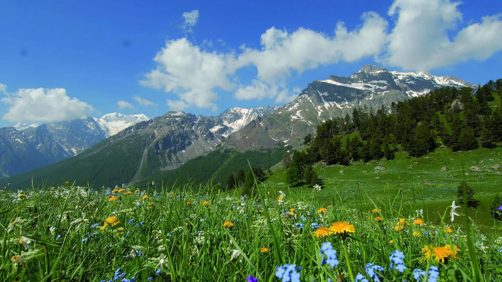 Resort Club Vacances Bleues Les Alpes D'Azur